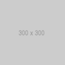 300x300 300x300